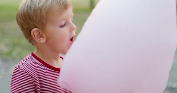 소년은 공원에서 분홍색 사탕을 먹고있다 고품질 — 비디오