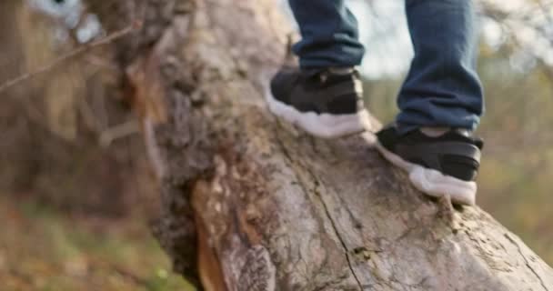 Chlapec Hrající Lesoparku Detailní Záběr Dětské Nohy Kráčející Spadlém Stromě — Stock video