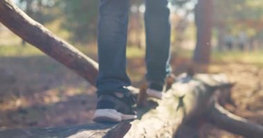 Forest Park 'ta oynayan bir çocuk. Devrilmiş bir ağaçta yürüyen bir çocuğun ayaklarının yakın çekimi. Spor ayakkabılı bir çocuk parkta devrilmiş bir ağaçta yürüyor. Ormanda aktif bir eğlence. Yüksek kalite 4k görüntü