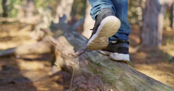 Niño Jugando Parque Forestal Primer Plano Los Pies Niño Caminando — Vídeos de Stock
