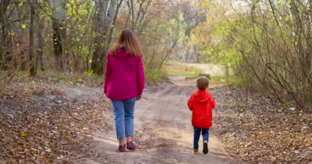 Madre Hijo Caminando Bosque Día Soleado Otoño Caminatas Aire Fresco — Vídeos de Stock