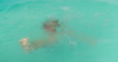 Şnorkel maskeli küçük çocuk yaz tatilinde havuza dalmayı ve yüzmeyi öğreniyor. Yüksek kalite 4k görüntü