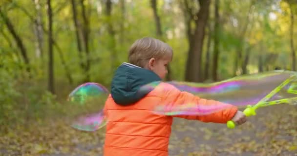 Szczęśliwe Białe Dziecko Bawiące Się Bańkami Mydlanymi Jesiennym Parku Mały — Wideo stockowe