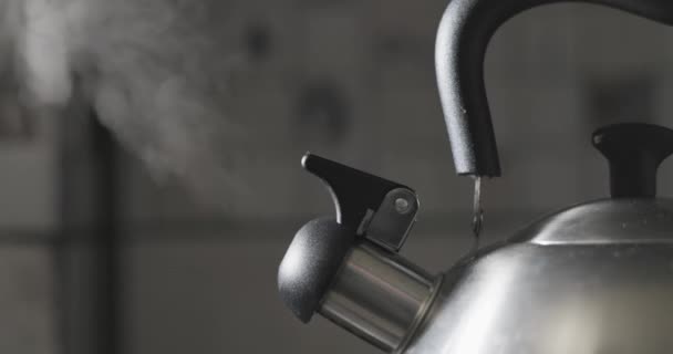 Hervidor Agua Acero Inoxidable Con Aumento Vapor Colocado Una Estufa — Vídeo de stock