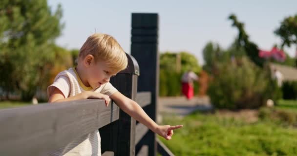 Ein Fröhlicher Kleiner Junge Zeigt Die Ferne Steht Einem Holzzaun — Stockvideo