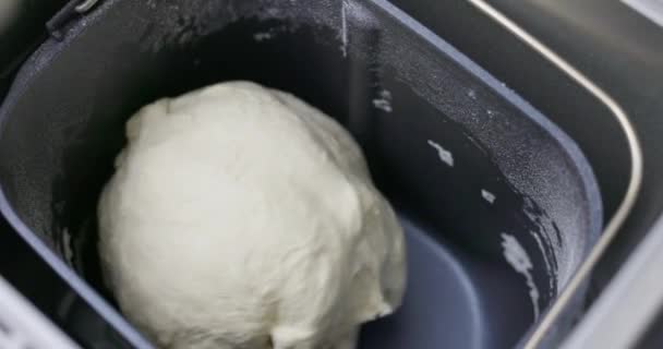 Bread Dough Black Bread Maker Close Shot Home Baking Kitchen — Stock Video