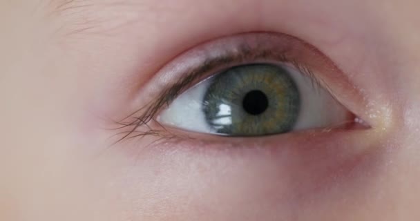 Apropierea Extremă Ochiului Copilului Gene Vizibile Reflexie Înregistrare Înaltă Calitate — Videoclip de stoc