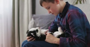 Mavi gömlekli bir çocuk elinde siyah beyaz bir köpek yavrusuna bakıyor. Yumuşak odaklı ve doğal ışıklandırmalı kapalı mekan portresi. İnsan-hayvan bağı ve hayvan bakımı kavramı. Yüksek kalite 4k görüntü