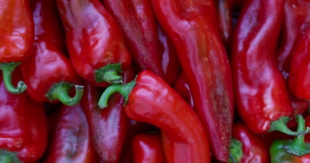 Ardei Roșii Vibranți Îngrămădit Piață Fermierilor Prezentând Produse Proaspete Alimentație — Videoclip de stoc