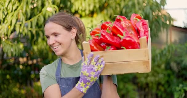 Una Mujer Jardinero Delantal Azul Guantes Jardinería Lleva Una Caja — Vídeos de Stock