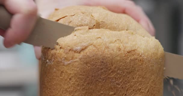 Krájím Domácí Bochník Chleba Zubatým Nožem Domácí Kuchyně Pečení Design — Stock video