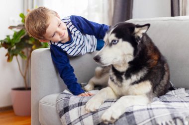 Çocuk kanepede boğuk bir köpekle etkileşime giriyor. Arka planda bitki olan kapalı bir ortam. Çocuk ve hayvan kaynaşma anı.