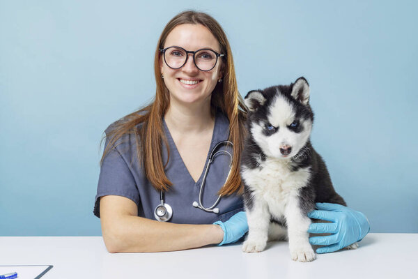 A female veterinarian smiling and holding a husky puppy on a blue background. Studio portrait emphasizing pet care and veterinary services.
