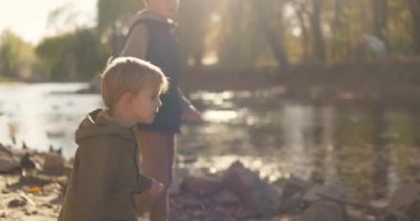 Güneşli bir sonbahar gününde parktaki ördeklere enerjik bir şekilde ekmek atan genç bir çocuğun yakın çekimi. Yüksek kalite 4k görüntü