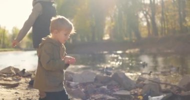 İki genç çocuk, sonbahar yaprakları ve yumuşak güneş ışığıyla çevrili bir göl kenarında ördekler besliyorlar. Yüksek kalite 4k görüntü