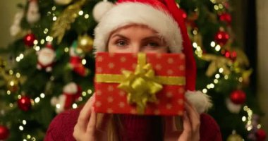 Noel Baba şapkalı bir kadın Noel hediyesini yüzünün önünde süslenmiş bir ağaçla tutuyor. Yüksek kalite 4k görüntü
