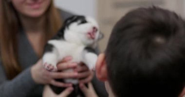 Anne, siyah beyaz bir köpek yavrusunu çocuğa veriyor. Çocuk, kapalı bir ortamda köpeğe neşeyle sarılıyor. Aile ve evcil hayvan evlat edinme kavramı. Yüksek kalite 4k görüntü