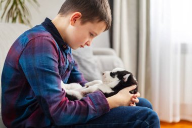 Ekose gömlekli genç bir çocuk kanepede otururken siyah beyaz bir köpek yavrusunu nazikçe kucağında tutuyor. Yakın etkileşim, sıcak bir yuva ortamında ilgi ve şefkat gösterme..