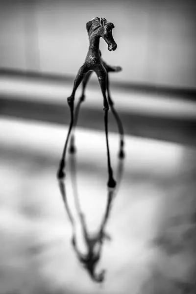 Dalinian atı Villajoyosa 'daki cam masaya yansıdı