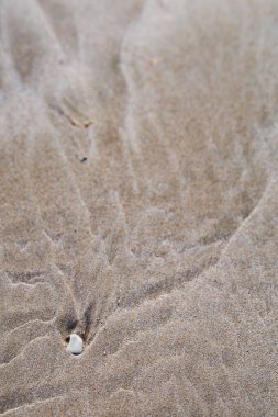 Denia sahilinde taşlar