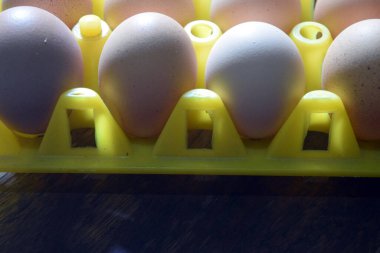 Pazarda satılık yumurtalar.