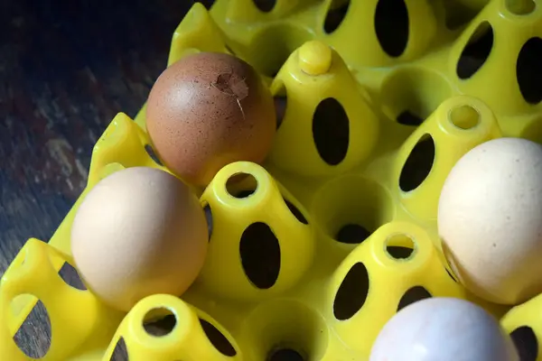 Beyaz arka planda kırık kabuklu yumurtalar.