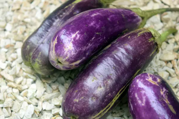 Piyasada taze mor patlıcanlar