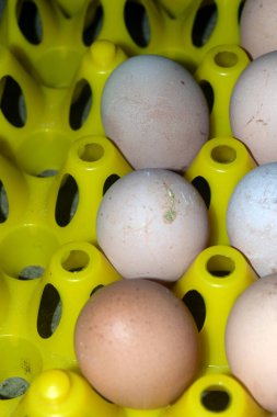 Kutu tepside yumurtaların yakın plan çekimi.