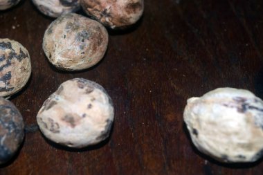 Siyah bir masanın üzerinde bir sürü taze bıldırcın yumurtası var.