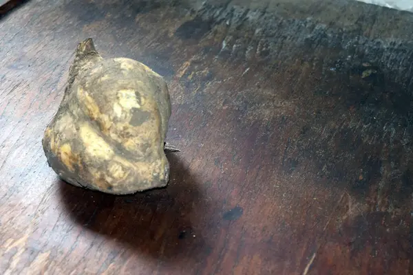 Tahta bir yüzeyde kahverengi bir tahta parçasının yakın çekimi.