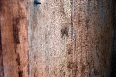 Ahşap desen arka plan, soyut ahşap desen