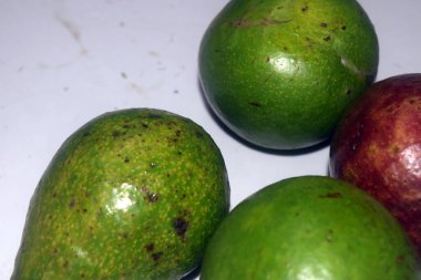 Beyaz arka plan üzerinde izole taze avokado meyve