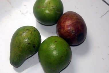 taze ve sağlıklı avokado