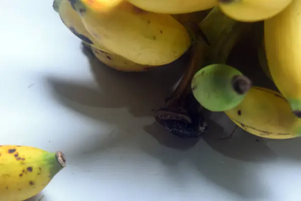 Beyaz arkaplanda muz meyvesi