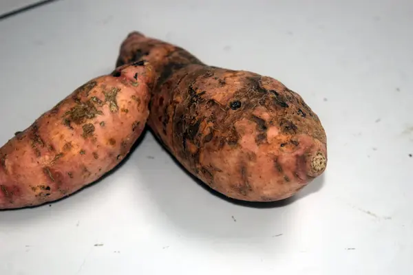 Beyaz arka planda tatlı patates. Kapat.