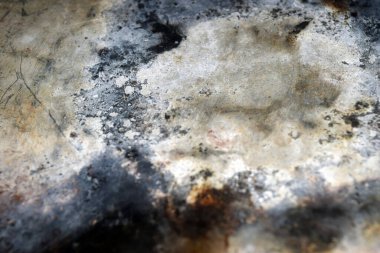 metin veya resim için alanı olan grunge arkaplanı