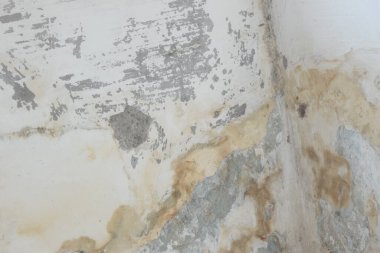 Sıvalı eski duvar, doku