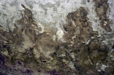 Eski beton duvarın soyut dokusu.