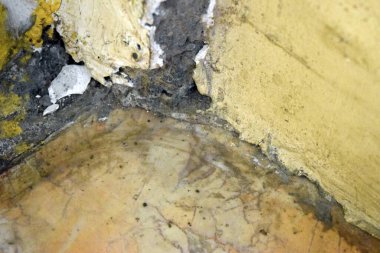 Eski sarı ve siyah boya.