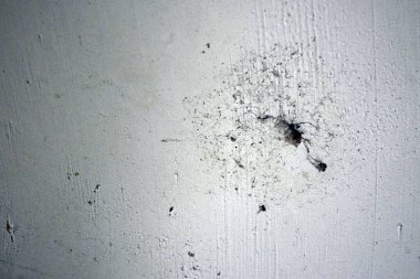 grunge beton duvar dokusu