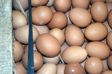 Pakette yumurtalar var.