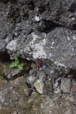 güzel taş dokusu arkaplanı