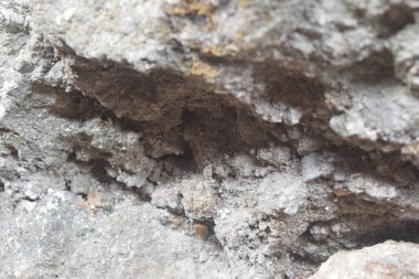 Taş duvar dokusu arkaplanı