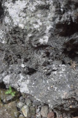 Taş doku arka planını yakın çekim