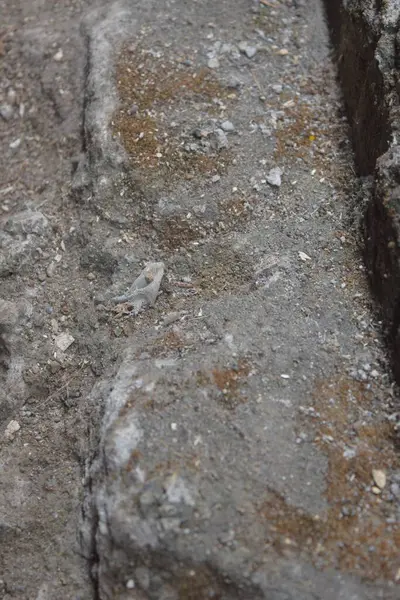 yakın - eski gri taş arkaplan.