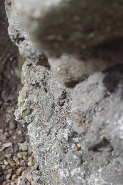 Bulanık arkaplanı olan bir kayanın yakın çekimi.