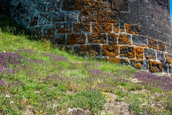 old wall with flowers