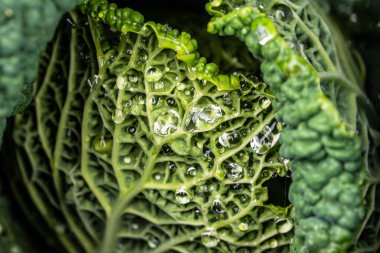 Su damlalarındaki yeşil lahanayı kapat.