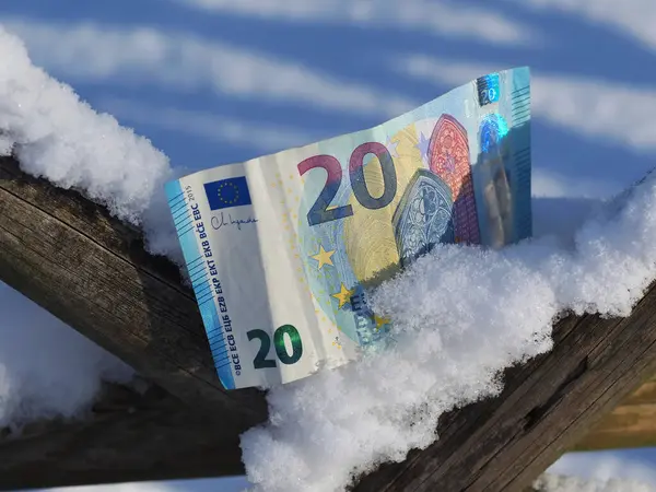 20 euro banknote stuck on a wooden fence in the snow