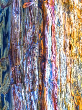 Portekiz 'de ilginç desenleri olan renkli kayalar.